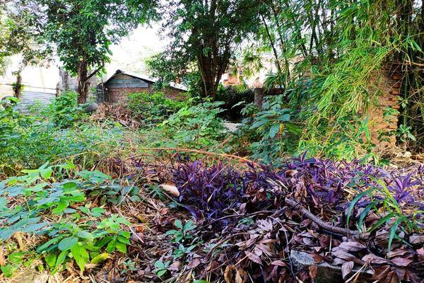 Foto de terreno habitacional en , laredo, poza rica de hidalgo, veracruz de ignacio de la llave, 0 foto 04 Foto de terreno habitacional en venta en , laredo, poza rica de hidalgo, veracruz de ignacio de la llave, 0 No. 04