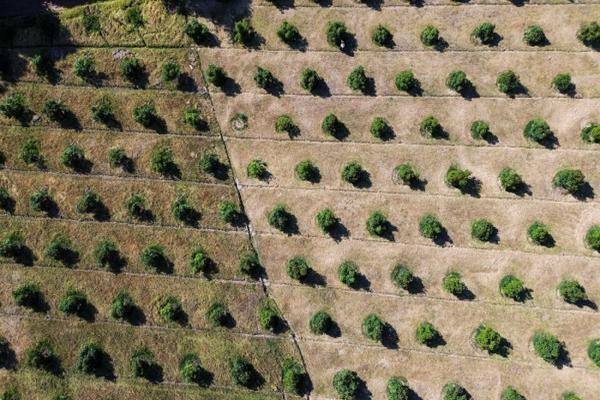 Foto de terreno industrial en las joyas , valle de bravo, valle de bravo, méxico, 30984716 foto 06 Foto de terreno industrial en venta en las joyas , valle de bravo, valle de bravo, méxico, 30984716 No. 06