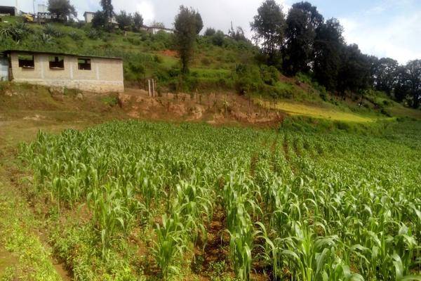 Foto de terreno habitacional en , llano de zacapexco, villa del carbón, méxico, 27702229 foto 04 Foto de terreno habitacional en venta en , llano de zacapexco, villa del carbón, méxico, 27702229 No. 04