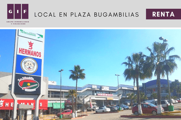 Foto de local en lomas de matamoros, tijuana, baja california , lomas de matamoros, tijuana, baja california, 0 foto 03 Foto de local en renta en lomas de matamoros, tijuana, baja california , lomas de matamoros, tijuana, baja california, 0 No. 03