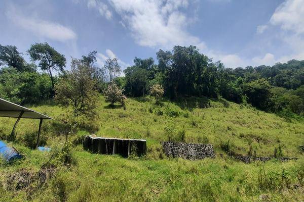 Foto de rancho en los timbres, temascaltepec, estado de méxico , los timbres, temascaltepec, méxico, 26859334 foto 02 Foto de rancho en venta en los timbres, temascaltepec, estado de méxico , los timbres, temascaltepec, méxico, 26859334 No. 02