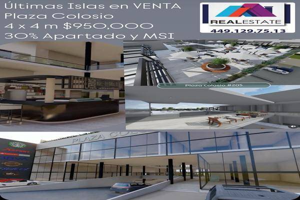 Foto de local en , luis donaldo colosio, jesús maría, aguascalientes, 0 foto 02 Foto de local en venta en , luis donaldo colosio, jesús maría, aguascalientes, 0 No. 02