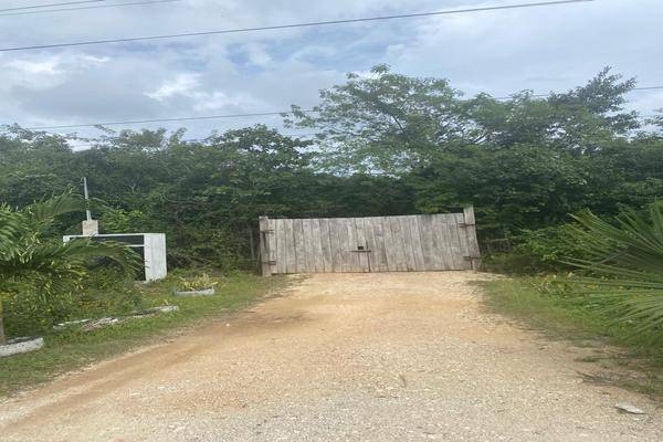 Foto de terreno habitacional en macario gómez , macario gómez, tulum, quintana roo, 28172449 foto 02 Foto de terreno habitacional en venta en macario gómez , macario gómez, tulum, quintana roo, 28172449 No. 02