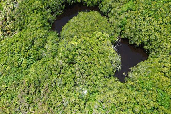 Foto de terreno habitacional en , mahahual, othón p. blanco, quintana roo, 0 foto 02 Foto de terreno habitacional en venta en , mahahual, othón p. blanco, quintana roo, 0 No. 02