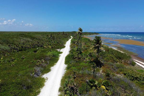Foto de terreno habitacional en , mahahual, othón p. blanco, quintana roo, 0 foto 03 Foto de terreno habitacional en venta en , mahahual, othón p. blanco, quintana roo, 0 No. 03