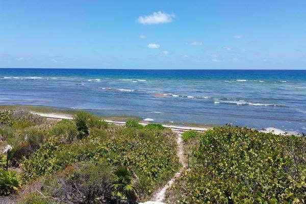 Foto de terreno habitacional en , mahahual, othón p. blanco, quintana roo, 0 foto 04 Foto de terreno habitacional en venta en , mahahual, othón p. blanco, quintana roo, 0 No. 04
