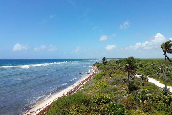 Foto de terreno habitacional en , mahahual, othón p. blanco, quintana roo, 0 foto 05 Foto de terreno habitacional en venta en , mahahual, othón p. blanco, quintana roo, 0 No. 05