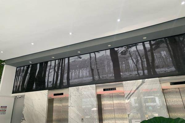 Foto de oficina en mariano escobedo 550, anzures, miguel hidalgo, df / cdmx, 28477490 foto 02 Foto de oficina en renta en mariano escobedo 550, anzures, miguel hidalgo, df / cdmx, 28477490 No. 02