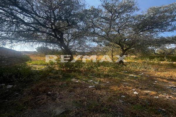 Foto de terreno habitacional en mariano pantaleon , reyes, coyotepec, méxico, 0 foto 04 Foto de terreno habitacional en venta en mariano pantaleon , reyes, coyotepec, méxico, 0 No. 04