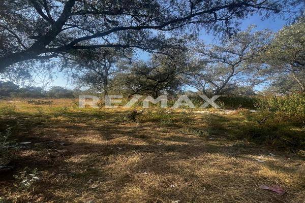 Foto de terreno habitacional en mariano pantaleon , reyes, coyotepec, méxico, 0 foto 05 Foto de terreno habitacional en venta en mariano pantaleon , reyes, coyotepec, méxico, 0 No. 05