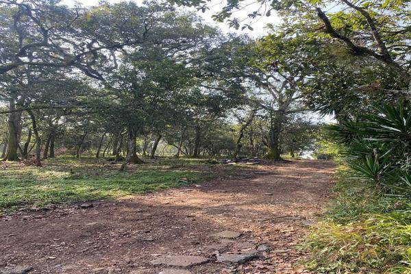 Foto de terreno habitacional en , mártires de chicago, xalapa, veracruz de ignacio de la llave, 0 foto 01 Foto de terreno habitacional en venta en , mártires de chicago, xalapa, veracruz de ignacio de la llave, 0 No. 01