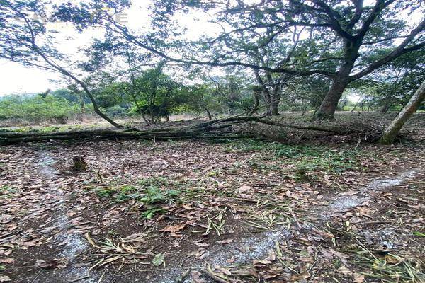 Foto de terreno habitacional en , mártires de chicago, xalapa, veracruz de ignacio de la llave, 0 foto 02 Foto de terreno habitacional en venta en , mártires de chicago, xalapa, veracruz de ignacio de la llave, 0 No. 02