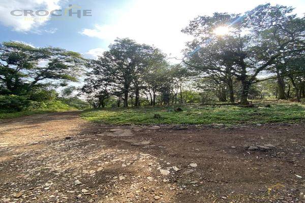 Foto de terreno habitacional en , mártires de chicago, xalapa, veracruz de ignacio de la llave, 0 foto 03 Foto de terreno habitacional en venta en , mártires de chicago, xalapa, veracruz de ignacio de la llave, 0 No. 03