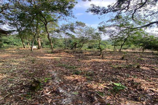 Foto de terreno habitacional en , mártires de chicago, xalapa, veracruz de ignacio de la llave, 0 foto 04 Foto de terreno habitacional en venta en , mártires de chicago, xalapa, veracruz de ignacio de la llave, 0 No. 04