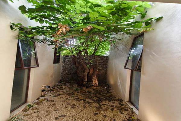 Foto de casa en , merida centro, mérida, yucatán, 0 foto 03 Foto de casa en venta en , merida centro, mérida, yucatán, 0 No. 03