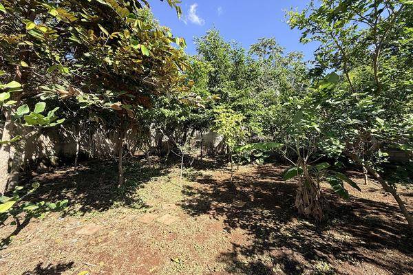 Foto de terreno habitacional en , merida centro, mérida, yucatán, 0 foto 07 Foto de terreno habitacional en venta en , merida centro, mérida, yucatán, 0 No. 07