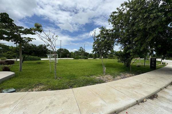 Foto de terreno habitacional en merida , san ignacio tesip, mérida, yucatán, 29767695 foto 04 Foto de terreno habitacional en venta en merida , san ignacio tesip, mérida, yucatán, 29767695 No. 04