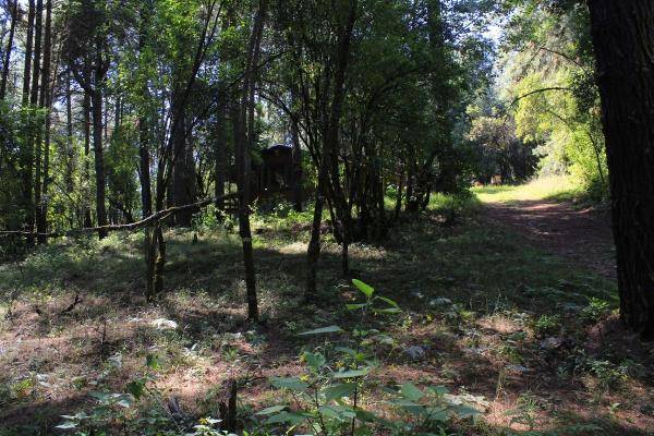 Foto de rancho en , mesa rica, valle de bravo, méxico, 6255236 foto 05 Foto de rancho en venta en , mesa rica, valle de bravo, méxico, 6255236 No. 05