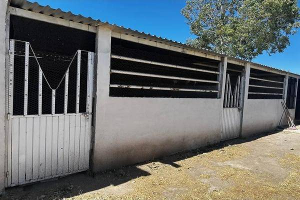 Foto de rancho en mezquite , palo alto, el llano, aguascalientes, 0 foto 01 Foto de rancho en venta en mezquite , palo alto, el llano, aguascalientes, 0 No. 01