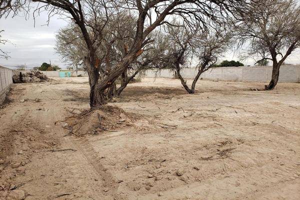 Foto de terreno comercial en , miguel de la madrid hurtado, gómez palacio, durango, 0 foto 05 Foto de terreno comercial en venta en , miguel de la madrid hurtado, gómez palacio, durango, 0 No. 05