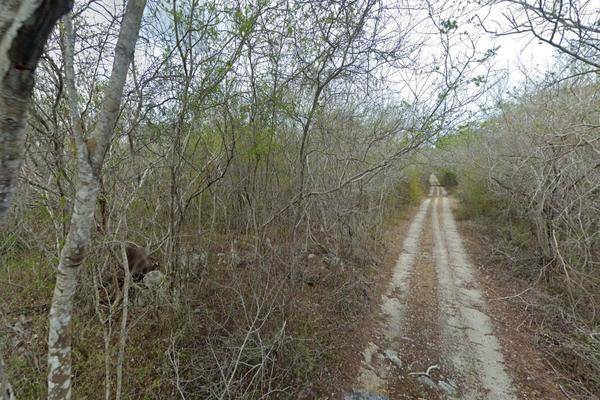 Foto de terreno habitacional en , misnebalam, progreso, yucatán, 25846220 foto 02 Foto de terreno habitacional en venta en , misnebalam, progreso, yucatán, 25846220 No. 02