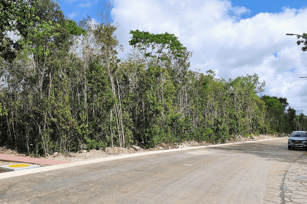 Foto de terreno habitacional en m.sta.elena , supermanzana 295, benito juárez, quintana roo, 0 foto 01 Foto de terreno habitacional en venta en m.sta.elena , supermanzana 295, benito juárez, quintana roo, 0 No. 01