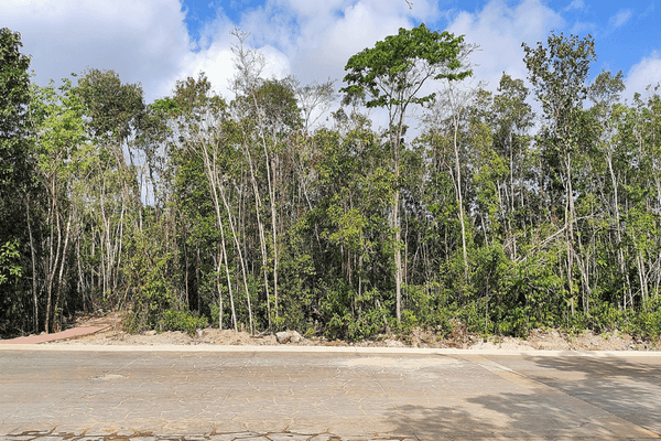 Foto de terreno habitacional en m.sta.elena , supermanzana 295, benito juárez, quintana roo, 0 foto 03 Foto de terreno habitacional en venta en m.sta.elena , supermanzana 295, benito juárez, quintana roo, 0 No. 03