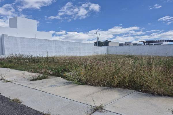 Foto de terreno habitacional en nayehn , zakia, el marqués, querétaro, 30516349 foto 04 Foto de terreno habitacional en venta en nayehn , zakia, el marqués, querétaro, 30516349 No. 04