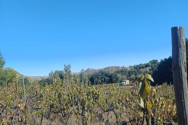Foto de terreno habitacional en , nueva hindú sección cerro azul, tecate, baja california, 0 foto 01 Foto de terreno habitacional en venta en , nueva hindú sección cerro azul, tecate, baja california, 0 No. 01