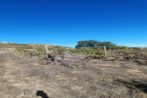 Foto de terreno habitacional en , nueva hindú sección cerro azul, tecate, baja california, 0 foto 05 Foto de terreno habitacional en venta en , nueva hindú sección cerro azul, tecate, baja california, 0 No. 05