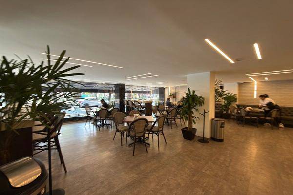 Foto de local en nuevo leon , condesa, cuauhtémoc, df / cdmx, 31089228 foto 04 Foto de local en renta en nuevo leon , condesa, cuauhtémoc, df / cdmx, 31089228 No. 04