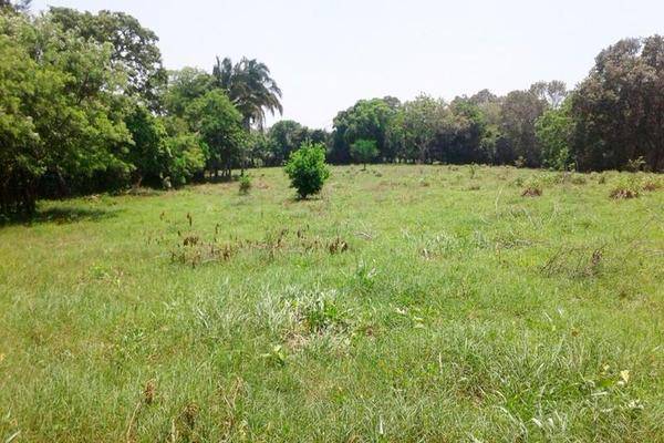 Foto de terreno habitacional en , países bajos, tuxpan, veracruz de ignacio de la llave, 0 foto 01 Foto de terreno habitacional en venta en , países bajos, tuxpan, veracruz de ignacio de la llave, 0 No. 01
