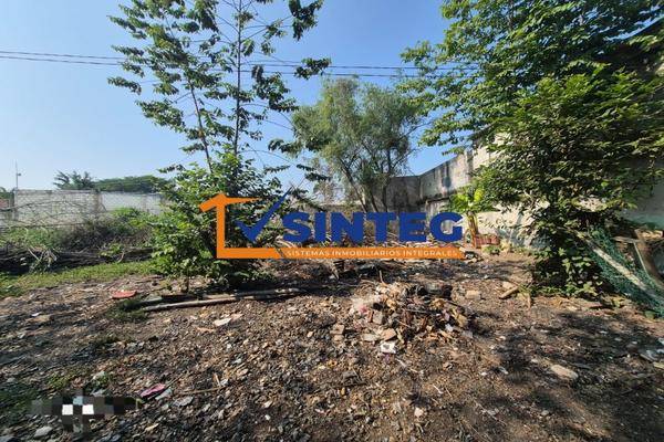 Foto de terreno habitacional en , palmar, papantla, veracruz de ignacio de la llave, 0 foto 04 Foto de terreno habitacional en venta en , palmar, papantla, veracruz de ignacio de la llave, 0 No. 04