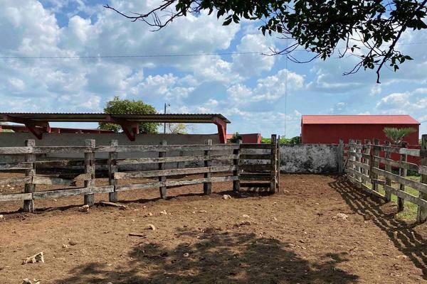 Foto de rancho en panaba, panabá, yucatán , panaba, panabá, yucatán, 0 foto 04 Foto de rancho en venta en panaba, panabá, yucatán , panaba, panabá, yucatán, 0 No. 04
