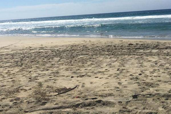 Foto de terreno habitacional en paraje tierra blanca s/n , valdeflores, santa maría tonameca, oaxaca, 6018251 foto 03 Foto de terreno habitacional en venta en paraje tierra blanca s/n , valdeflores, santa maría tonameca, oaxaca, 6018251 No. 03