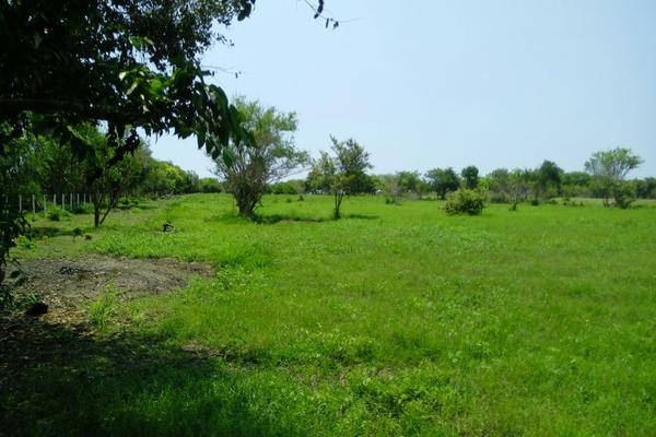Foto de terreno comercial en parcela 46 (ejido clemente torres) ctv2097 , ojital, pueblo viejo, veracruz de ignacio de la llave, 3404207 foto 02 Foto de terreno comercial en venta en parcela 46 (ejido clemente torres) ctv2097 , ojital, pueblo viejo, veracruz de ignacio de la llave, 3404207 No. 02