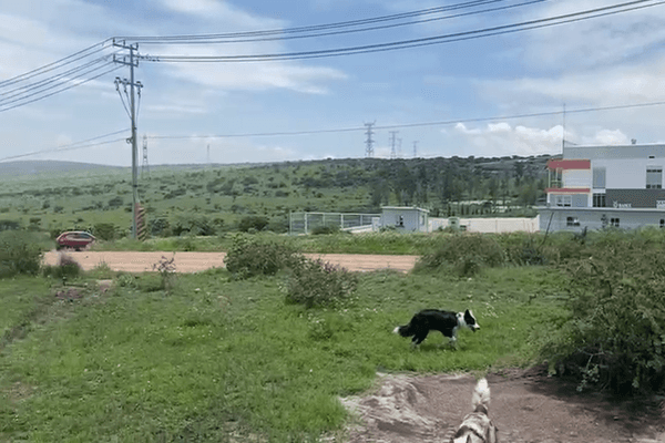 Foto de terreno industrial en , parque industrial tepeji, tepeji del río de ocampo, hidalgo, 22475368 foto 01 Foto de terreno industrial en venta en , parque industrial tepeji, tepeji del río de ocampo, hidalgo, 22475368 No. 01