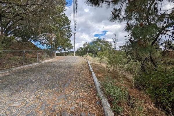 Foto de terreno habitacional en paseos de la casuarina , pinar de la venta, zapopan, jalisco, 0 foto 01 Foto de terreno habitacional en venta en paseos de la casuarina , pinar de la venta, zapopan, jalisco, 0 No. 01