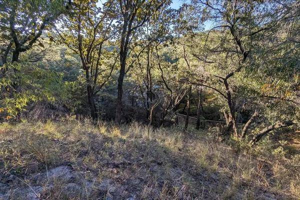 Foto de terreno habitacional en paseos de la casuarina , pinar de la venta, zapopan, jalisco, 0 foto 02 Foto de terreno habitacional en venta en paseos de la casuarina , pinar de la venta, zapopan, jalisco, 0 No. 02