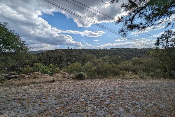 Foto de terreno habitacional en paseos de la casuarina , pinar de la venta, zapopan, jalisco, 0 foto 04 Foto de terreno habitacional en venta en paseos de la casuarina , pinar de la venta, zapopan, jalisco, 0 No. 04