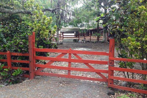 Foto de rancho en , paso del cedro, actopan, veracruz de ignacio de la llave, 3223654 foto 01 Foto de rancho en venta en , paso del cedro, actopan, veracruz de ignacio de la llave, 3223654 No. 01