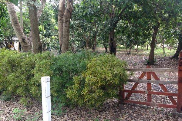 Foto de rancho en , paso del cedro, actopan, veracruz de ignacio de la llave, 3223654 foto 02 Foto de rancho en venta en , paso del cedro, actopan, veracruz de ignacio de la llave, 3223654 No. 02