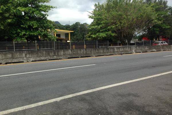 Foto de rancho en , paso del cedro, actopan, veracruz de ignacio de la llave, 3223654 foto 05 Foto de rancho en venta en , paso del cedro, actopan, veracruz de ignacio de la llave, 3223654 No. 05