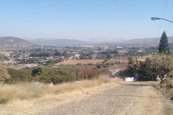 Foto de terreno habitacional en pedregal de san miguell , san miguel cuyutlan, tlajomulco de zúñiga, jalisco, 0 foto 05 Foto de terreno habitacional en venta en pedregal de san miguell , san miguel cuyutlan, tlajomulco de zúñiga, jalisco, 0 No. 05