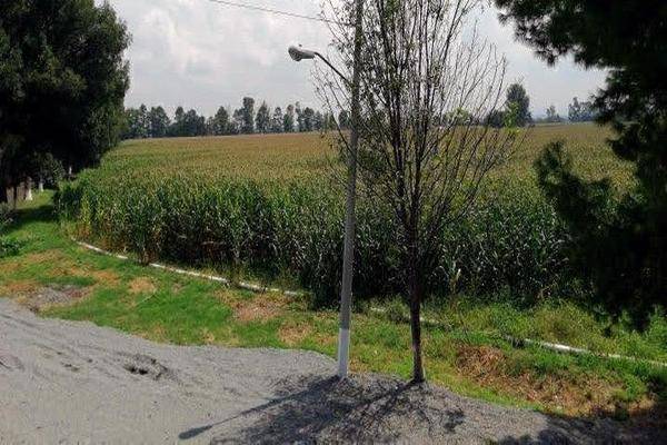 Foto de rancho en , pedro escobedo centro, pedro escobedo, querétaro, 0 foto 03 Foto de rancho en venta en , pedro escobedo centro, pedro escobedo, querétaro, 0 No. 03