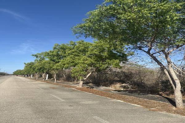 Foto de terreno habitacional en phula , dzidzilché, mérida, yucatán, 0 foto 05 Foto de terreno habitacional en venta en phula , dzidzilché, mérida, yucatán, 0 No. 05