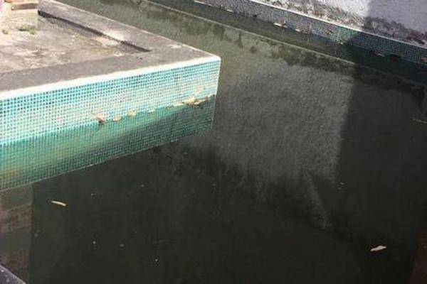 Foto de casa en , plan de ayala, cuernavaca, morelos, 0 foto 03 Foto de casa en venta en , plan de ayala, cuernavaca, morelos, 0 No. 03