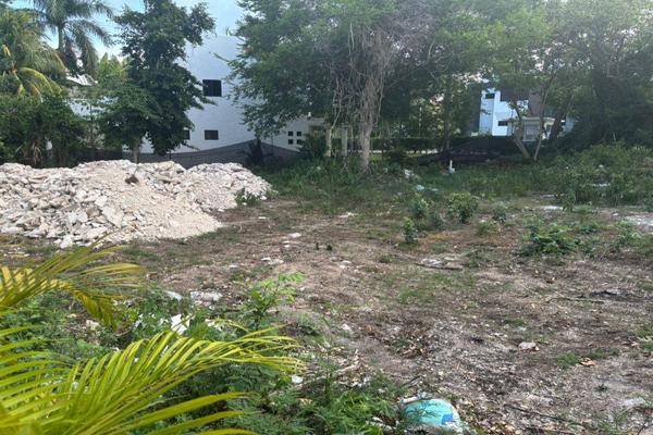 Foto de terreno habitacional en , playa car fase i, solidaridad, quintana roo, 0 foto 02 Foto de terreno habitacional en venta en , playa car fase i, solidaridad, quintana roo, 0 No. 02