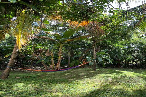 Foto de departamento en , playa car fase ii, solidaridad, quintana roo, 0 foto 04 Foto de departamento en venta en , playa car fase ii, solidaridad, quintana roo, 0 No. 04