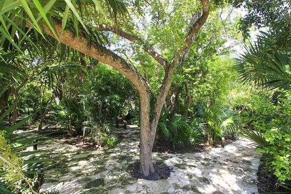 Foto de departamento en , playa del carmen, solidaridad, quintana roo, 0 foto 04 Foto de departamento en renta en , playa del carmen, solidaridad, quintana roo, 0 No. 04